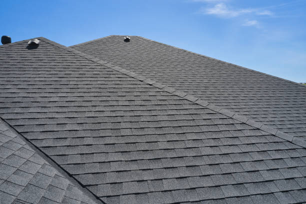 Best Metal Roofing Installation  in La Huerta, NM
