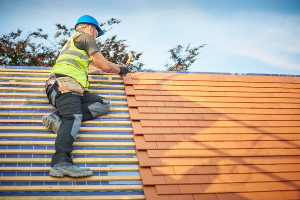 Best Chimney Flashing Repair  in La Huerta, NM